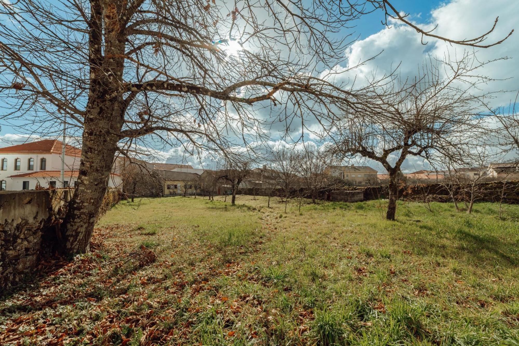 Casa Do Malhadinhas By Vacationy Villa Vila Nova de Paiva Dış mekan fotoğraf